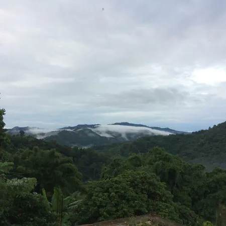 Doitung Homestay ดอยตุงโฮมสเตย์ Чианграй Экстерьер фото