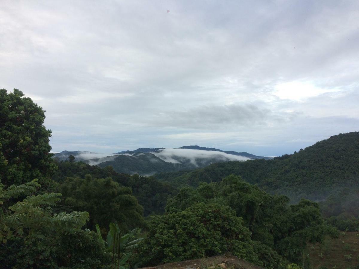 Doitung ดอยตุงโฮมสเตย์ Homestay Chiang Rai